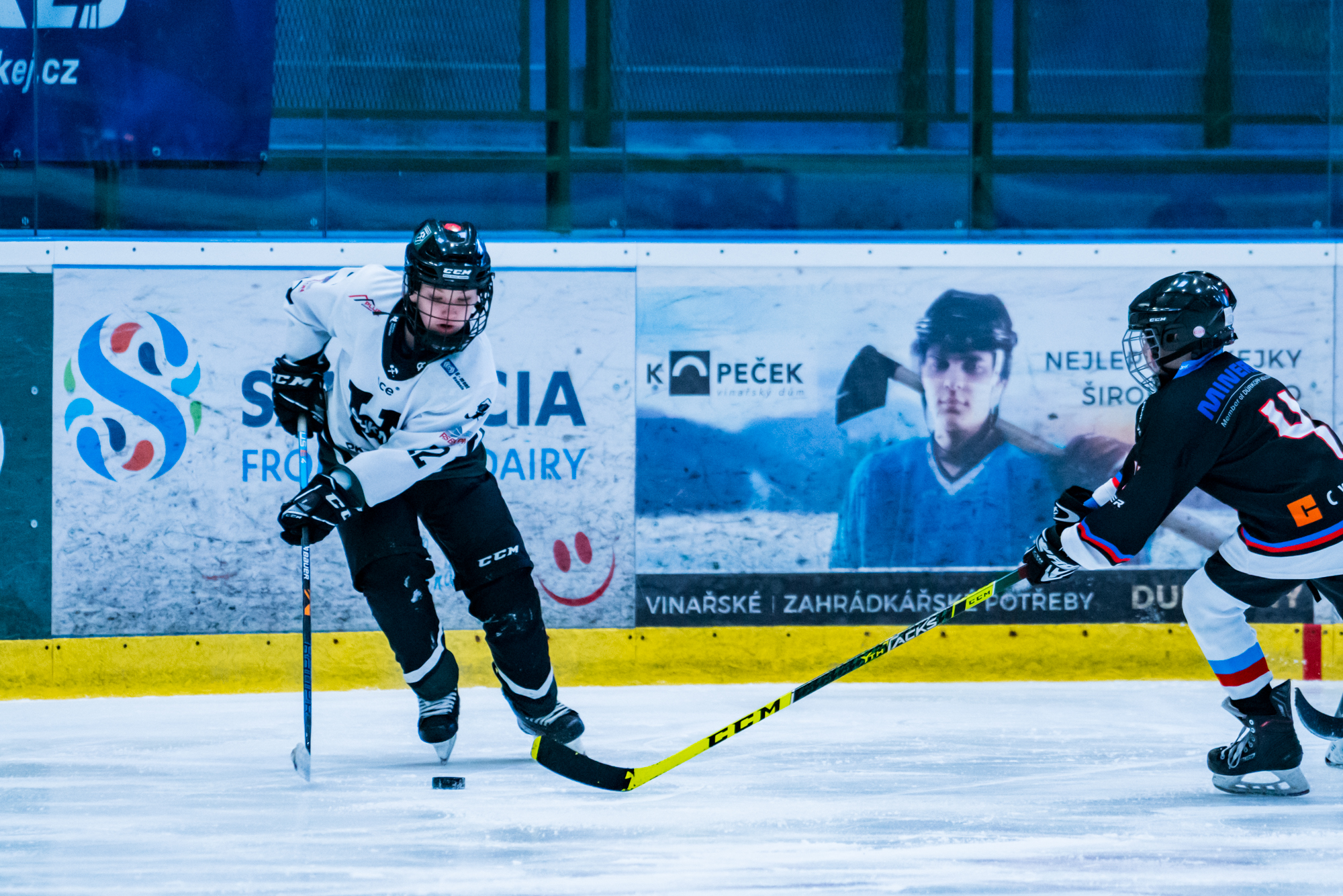 » dal foto: 