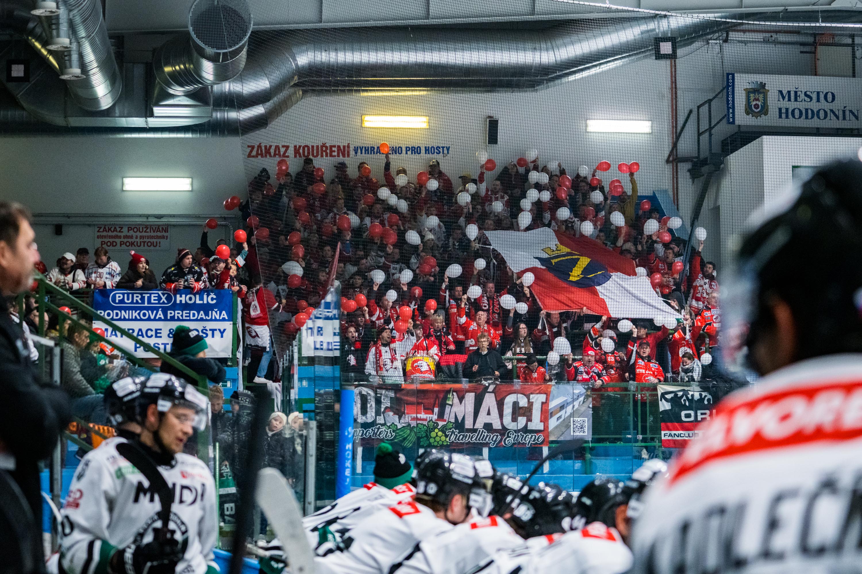 » dal foto: 