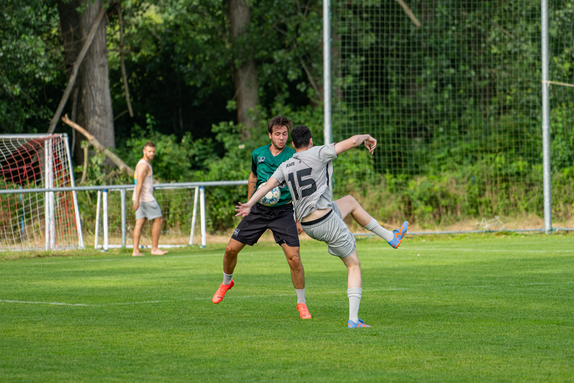 » dal foto: 