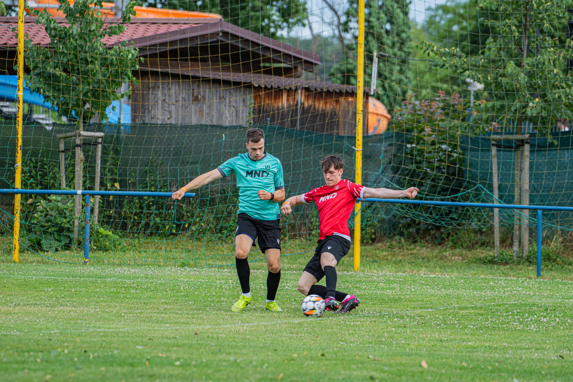 » dal foto: 